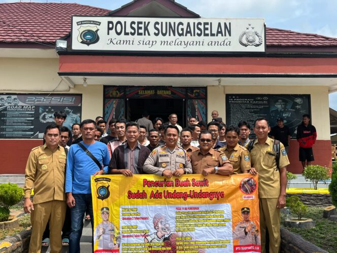 
Maraknya Pencurian Sawit Polsek Sungai Selan Dan Forkopincan Gerak Cepat