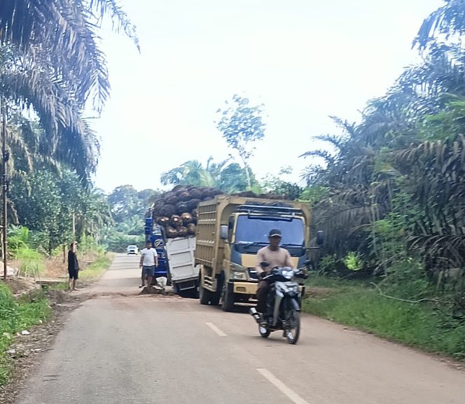 
Rusaknya Jalan Bukit Damai Desa Tumbak Petar, Samsul Hidayat: Semoga Ada Kebijakan Dan Solusi