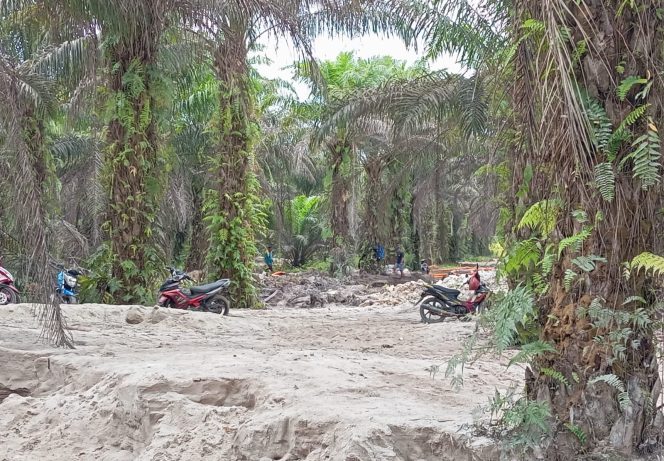 
Aktivitas tambang timah ilegal di Desa Kelabat,Kabupaten Bangka Barat, kembali menjadi sorotan masyarakat