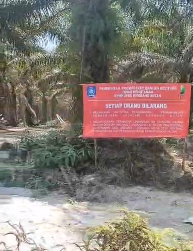 
Plang Larangan Sudah Berdiri, Aktivitas di Hutan Produksi Kelabat Masih Berjalan, Di Mana Satgas PKH?